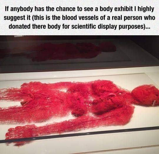 Biblical Creation Image 2