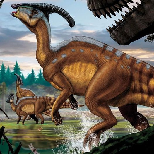 Biblical Creation Image 2